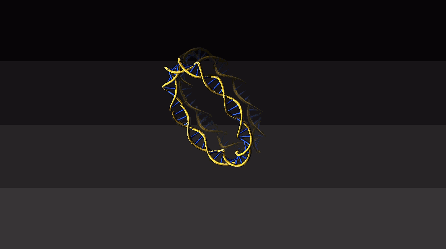 DNA-2.gif